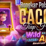 Maxwin Gampang di Wild Ape #3258